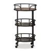 Bristol Black Bar Cart by Baxton Studio