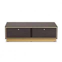 Cormac 41 .3 in. Dark Brown and Gold Rectangle Wood Coffee Table by Baxton Studio